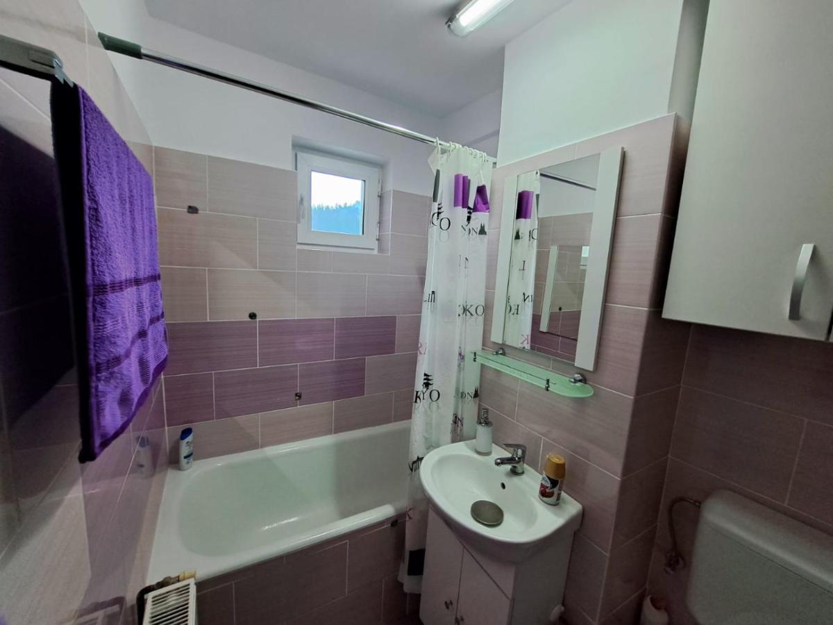 Aviliz Apartament Busteni Exterior photo